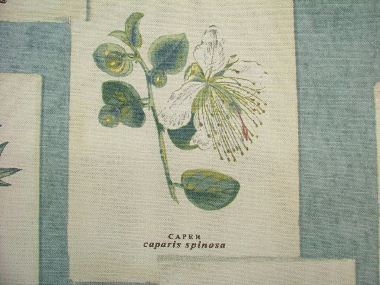 Tablecloth, Napkins Floral Chambray Blue Design , Tablecloth UK - CushionCoverAndDecor